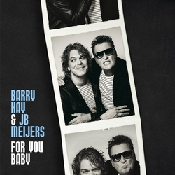 Barry Hay &amp; JJ Meijers - For you baby  CD