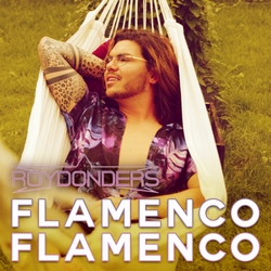 Roy Donders - Flamenco  CD-Single