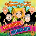 Gebroeders Knipping &amp; Schlager Bruders - Polonaise Hatseflat  CD-Single