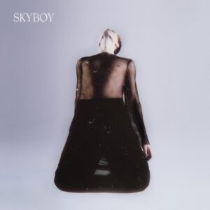 Duncan Laurence - Skyboy   CD