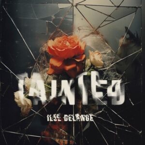 Ilse DeLange - Tainded  Ltd.  CD