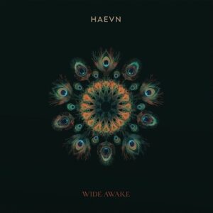 Haevn - Wide Awake   LP