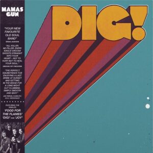 Mamas Gun - DIG!  LP