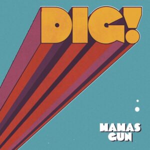 Mamas Gun - DIG! CD